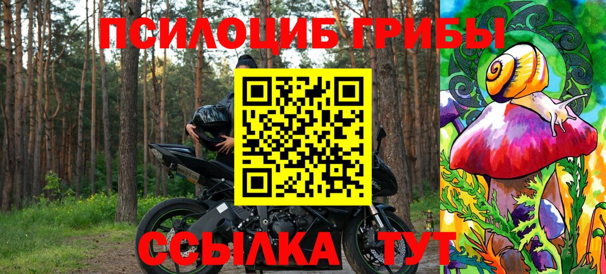 Галлюциногенные грибы Psilocybine cubensis  Вход с VPN  Карачаевск 